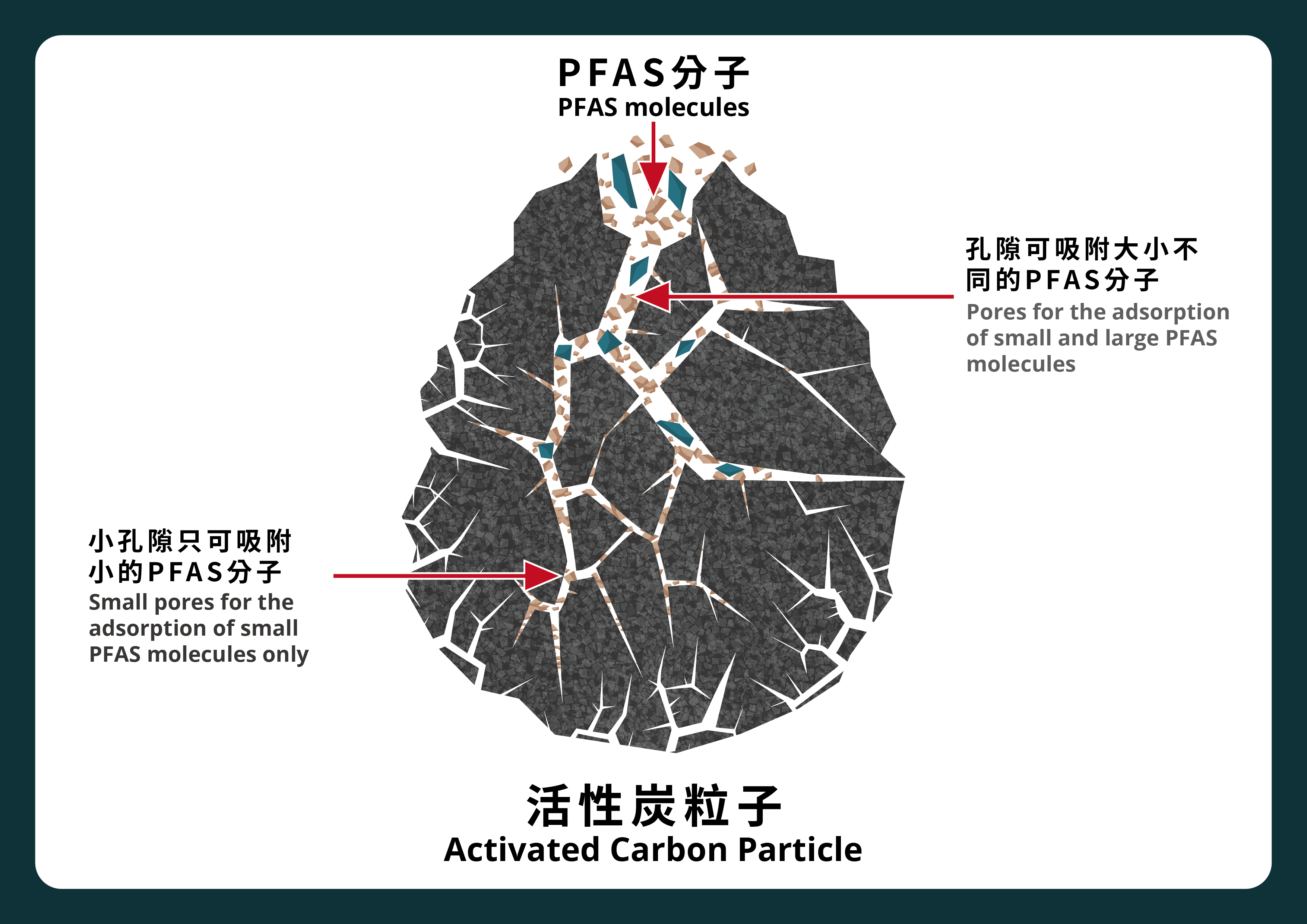 Mechanism_AC