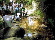 Shing Mun Reservoir - By CCC Kei Long College