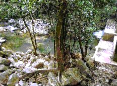 Shing Mun Reservoir - By CCC Kei Long College