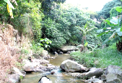 Lam Tei - By Madam Lau Kam Lung Secondary School of MFBM