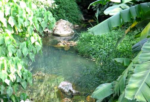 Lam Tei - By Madam Lau Kam Lung Secondary School of MFBM