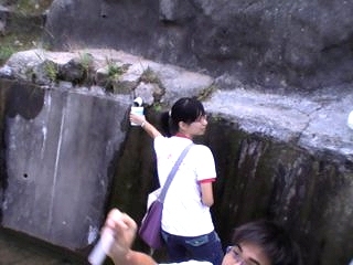 Shing Mun Reservoir - By CCC Kei Long College